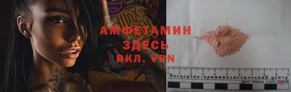крисы Алзамай