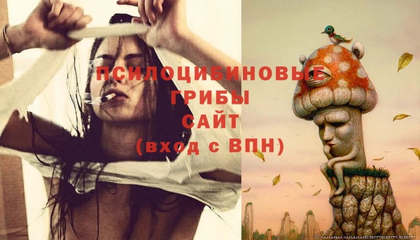 винт Алексин