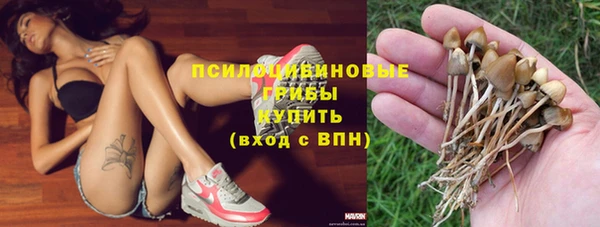 крисы Алзамай