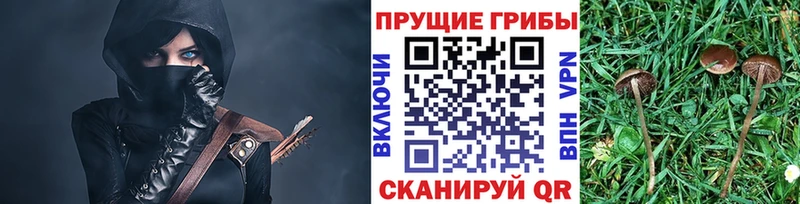 Галлюциногенные грибы мицелий  Коряжма 